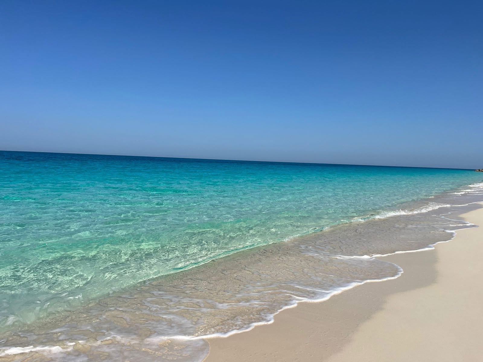 كابينة 1 غرف للبيع في Seashell PLAYA الساحل الشمالي — صورة 1
