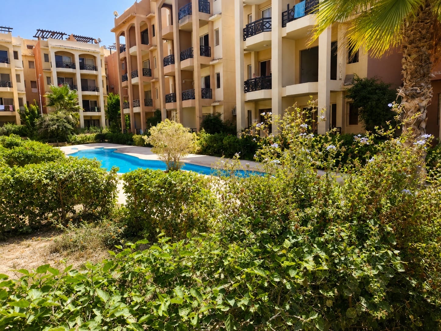 شاليه 2 غرف للبيع في Emirates Heights الساحل الشمالي — صورة 5
